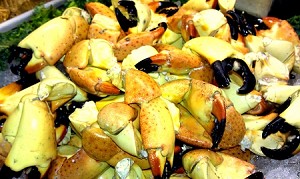Florida Lobsters